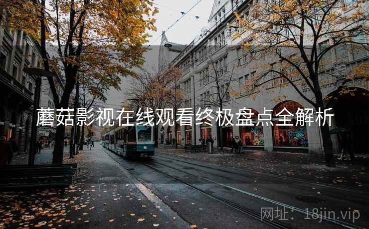 蘑菇影视在线观看终极盘点全解析