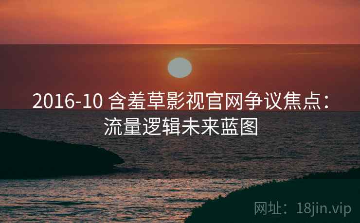 2016-10 含羞草影视官网争议焦点：流量逻辑未来蓝图
