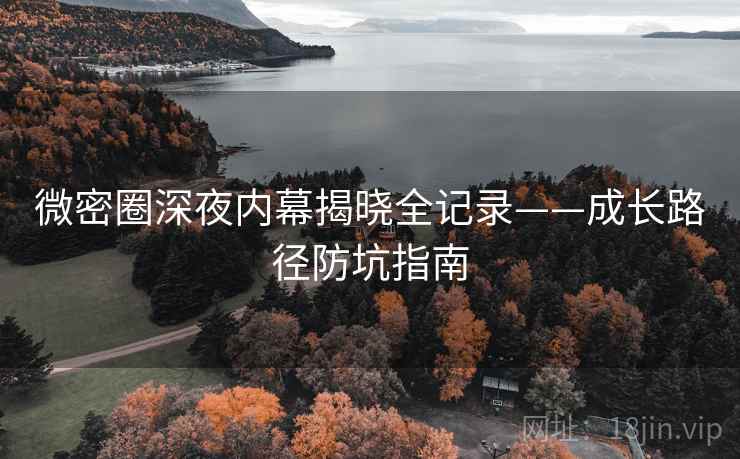 微密圈深夜内幕揭晓全记录——成长路径防坑指南