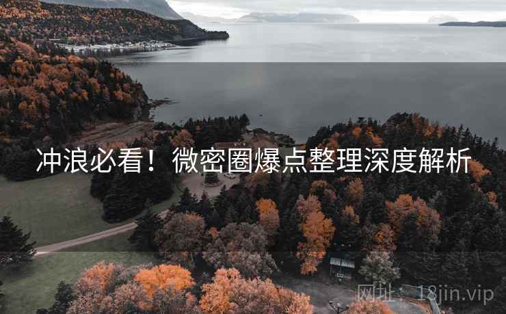 冲浪必看！微密圈爆点整理深度解析