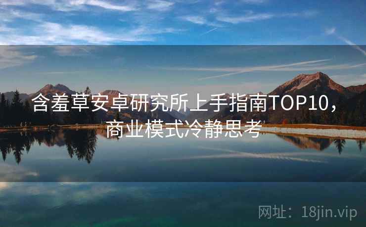 含羞草安卓研究所上手指南TOP10，商业模式冷静思考