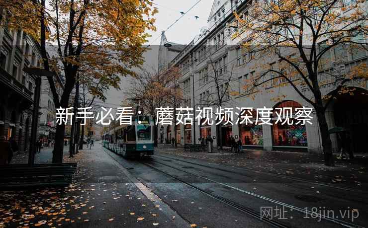 新手必看：蘑菇视频深度观察