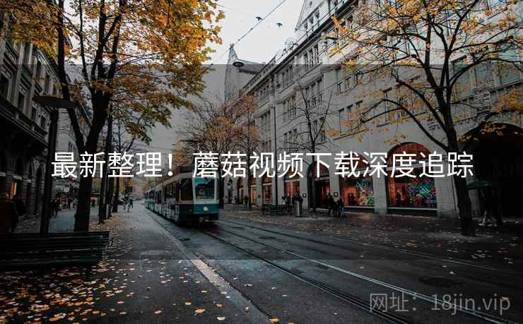 最新整理！蘑菇视频下载深度追踪