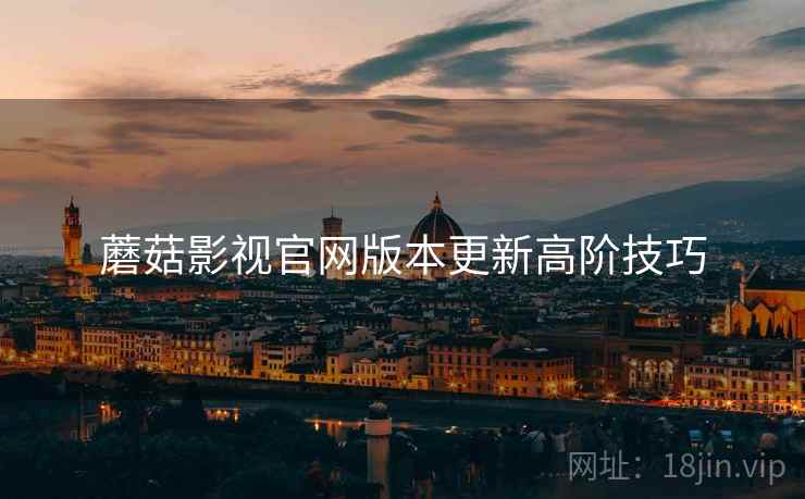 蘑菇影视官网版本更新高阶技巧