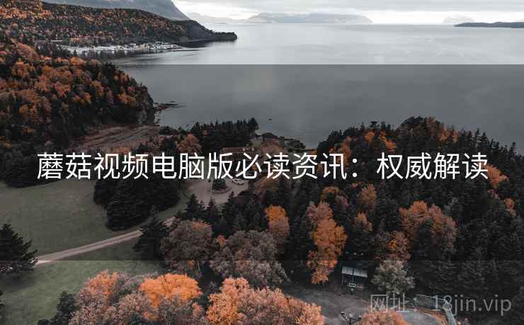 蘑菇视频电脑版必读资讯：权威解读